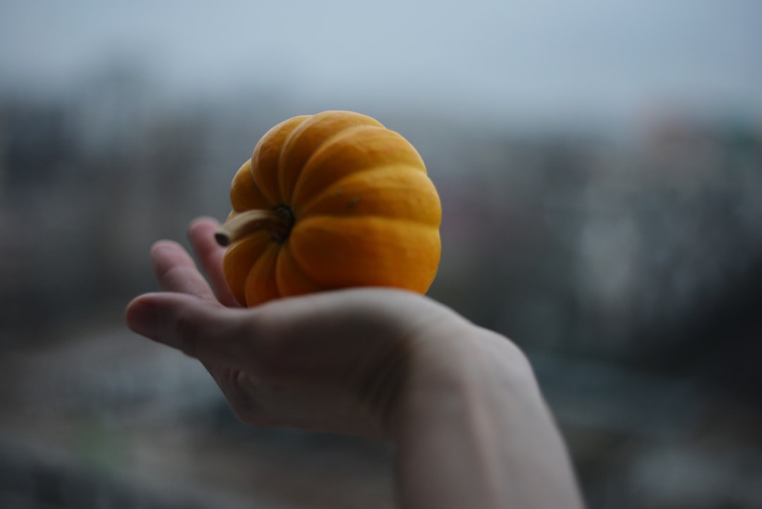 Photo l&uacute;gos&iacute;t&oacute; gy&uuml;m&ouml;lcs