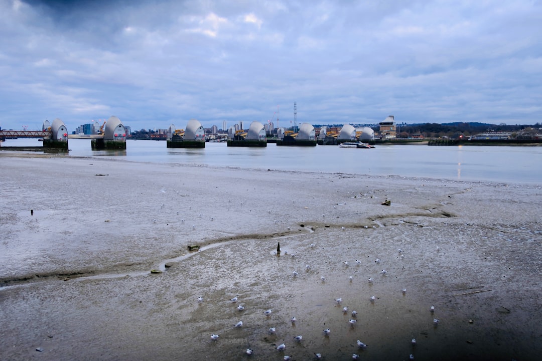 Photo flood prevention