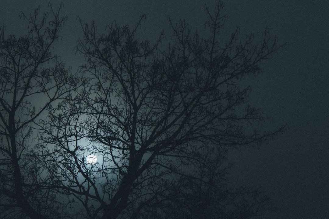 Photo nighttime detox