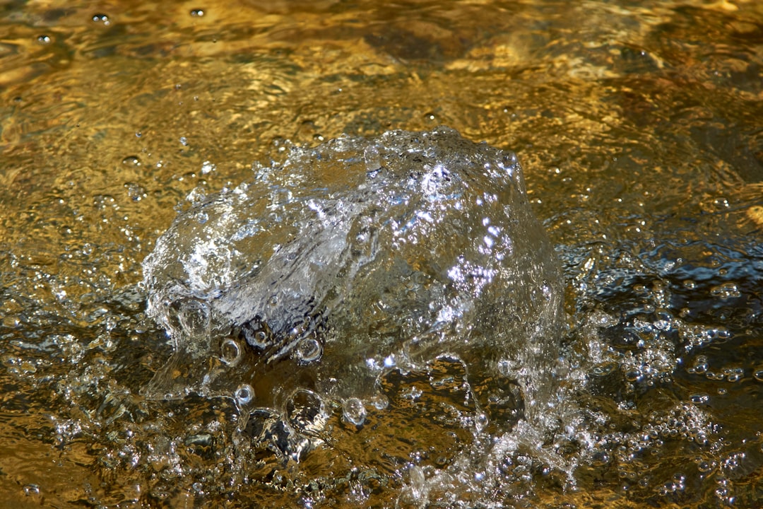 Photo water softener