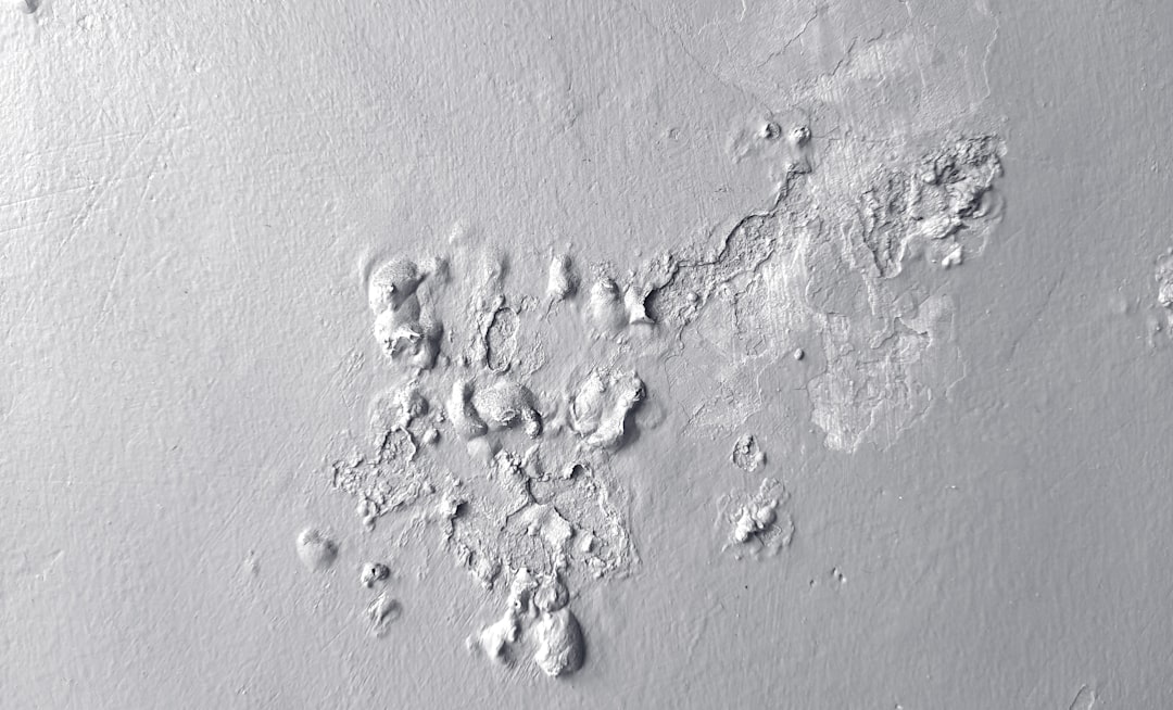 Photo tisztitokura