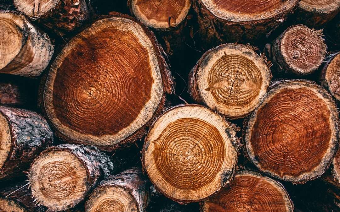 Photo teak