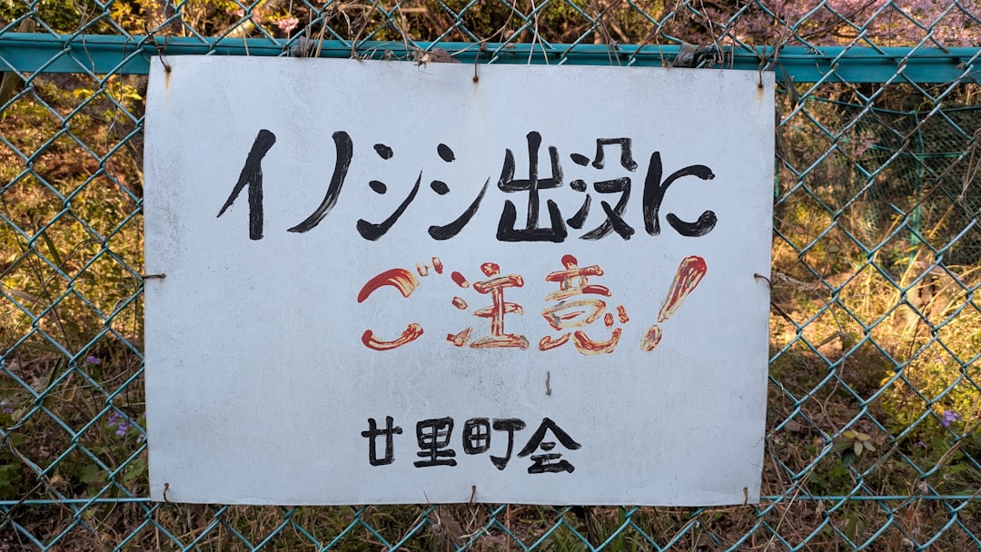 Photo gyomorgyuru