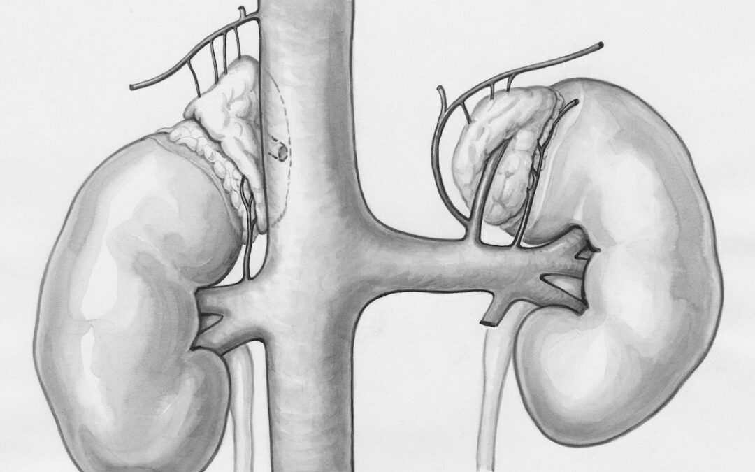 Photo pancreas detoxification