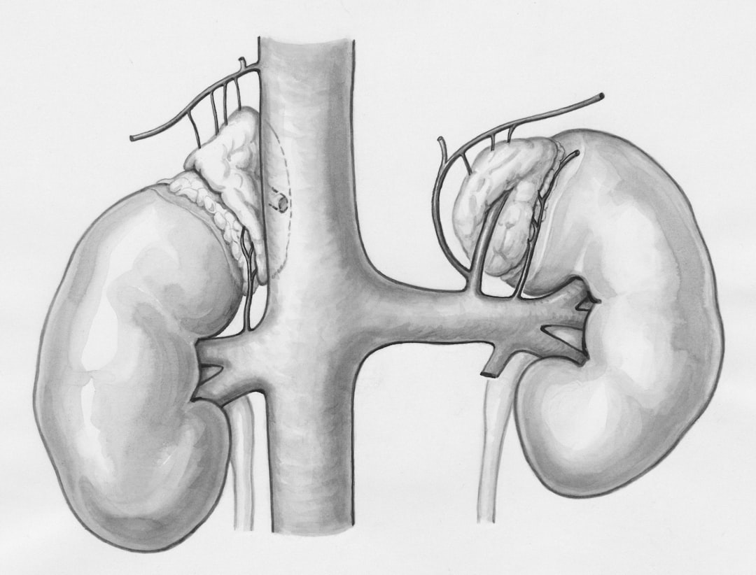 Photo pancreas detoxification