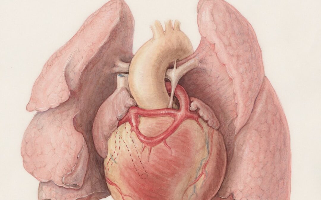 Photo liver and gallbladder detoxification