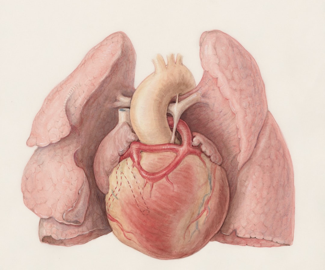 Photo liver and gallbladder detoxification