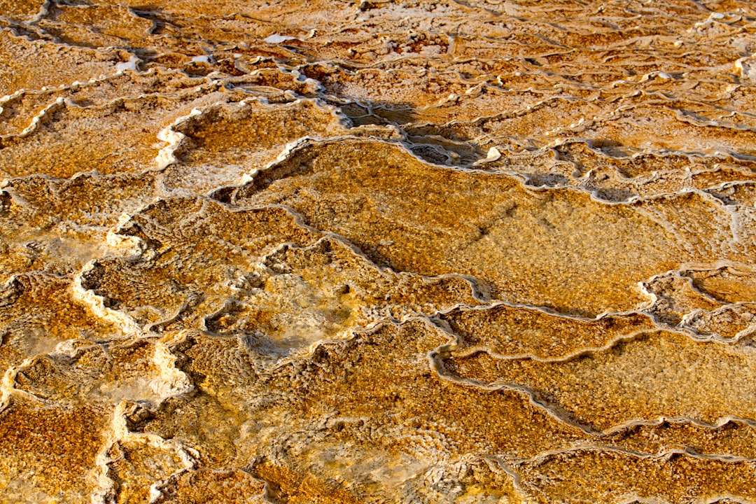 Photo homokt&ouml;vis oil