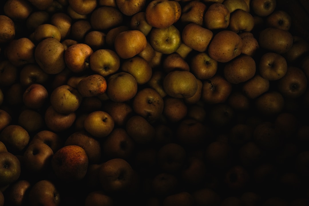 Photo homokt&ouml;vis berry