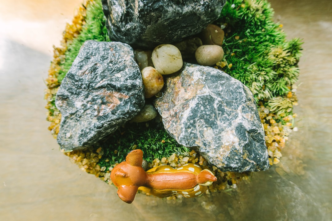 Photo paleolithic nutrition principles