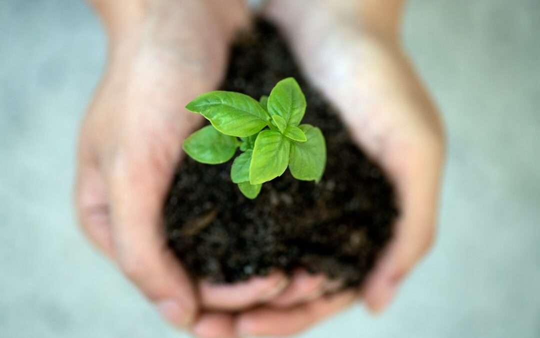 Photo sustainability