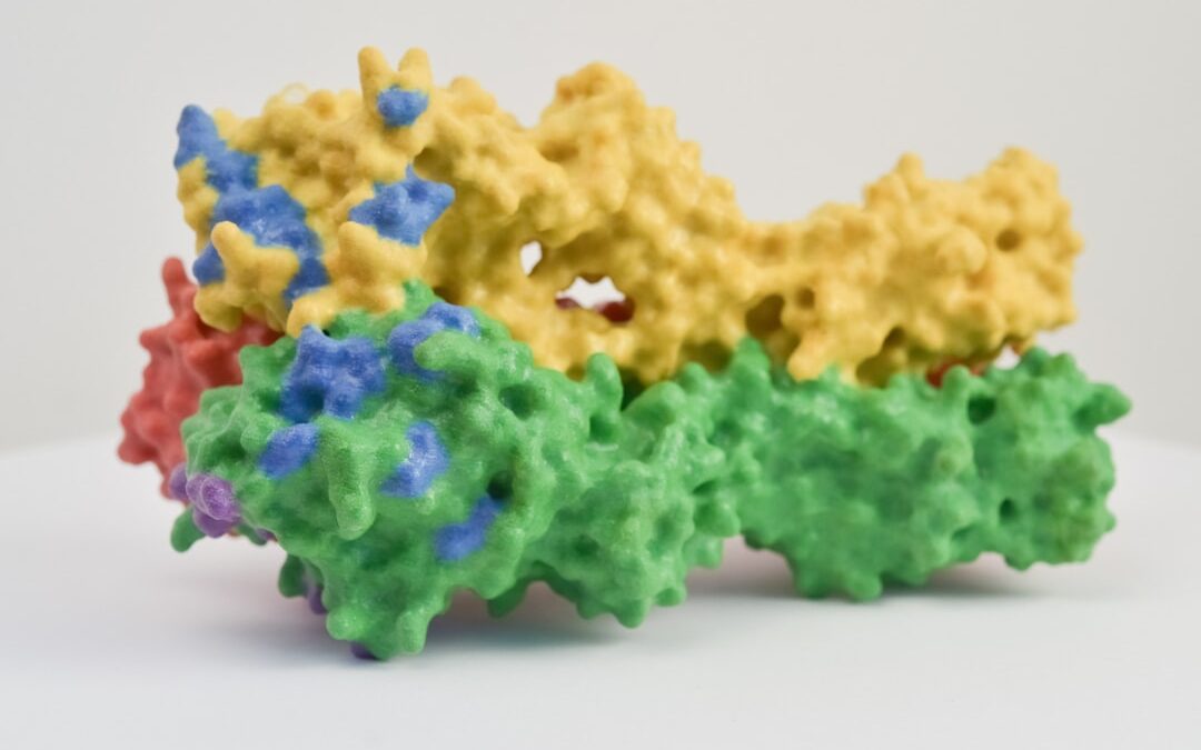 Photo biotech protein