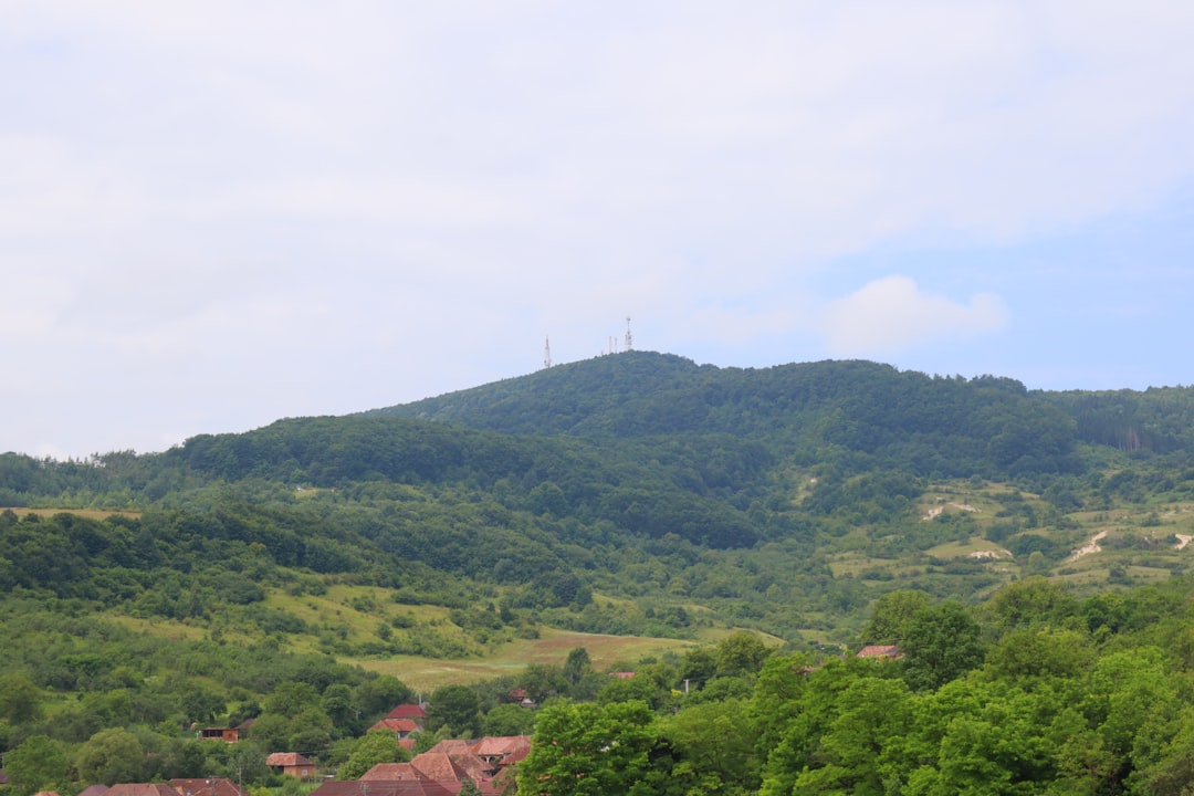 Photo tejsavó