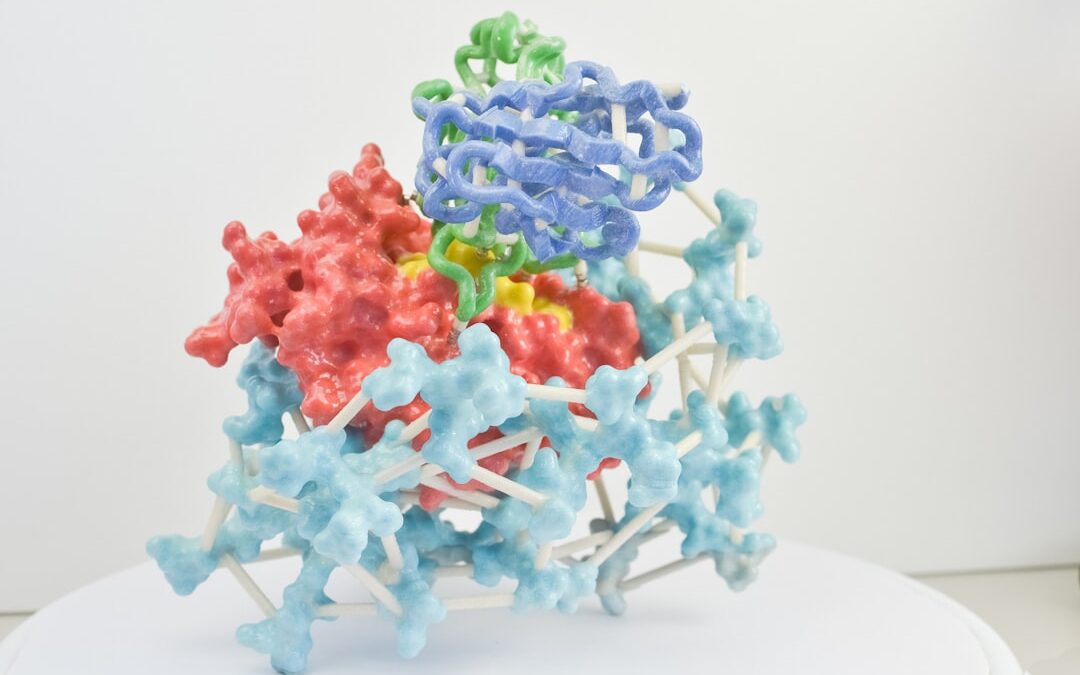 Photo biotech marha fehérje