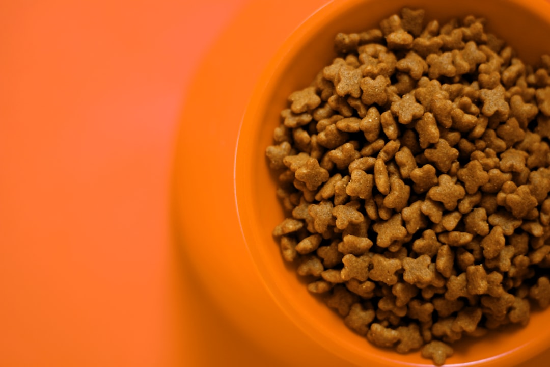 Photo protein powder effect on liver