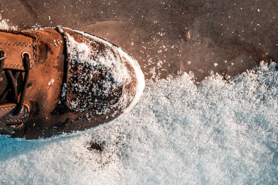 Photo sugar-free protein