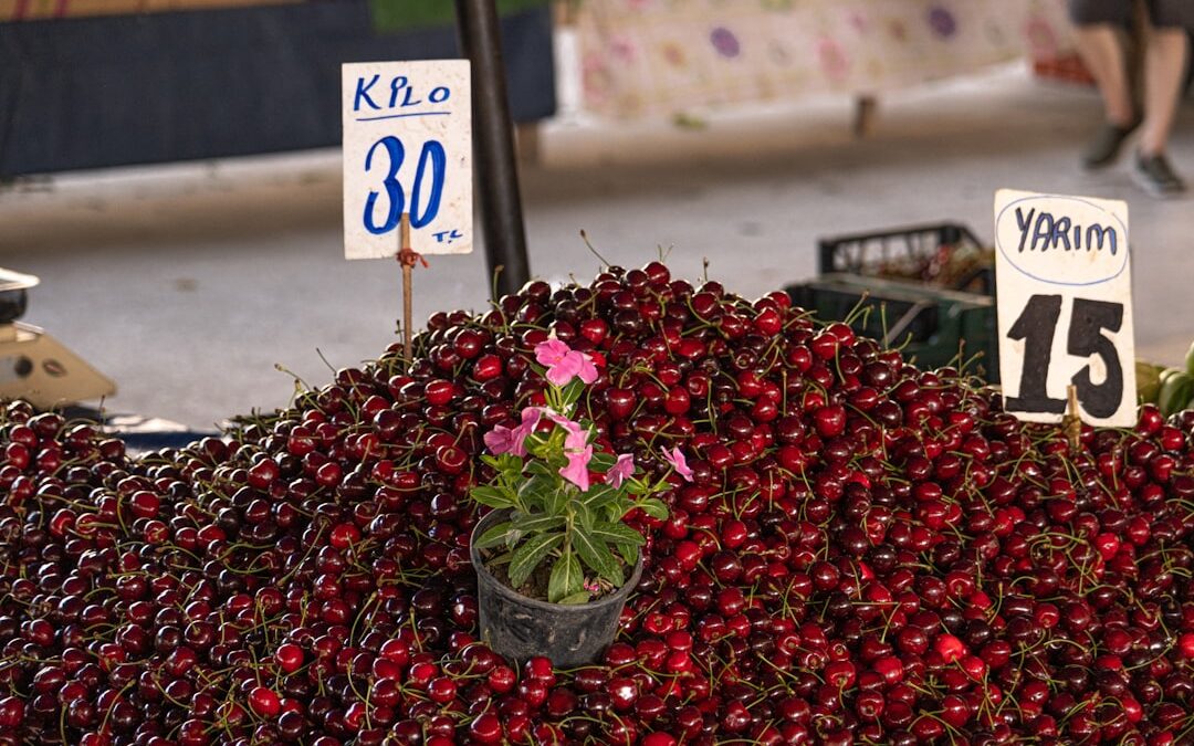 Photo homoktövis berry price