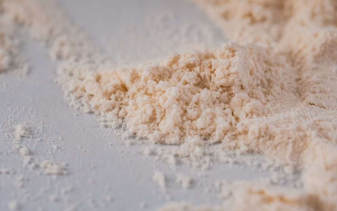 Photo soy protein powder
