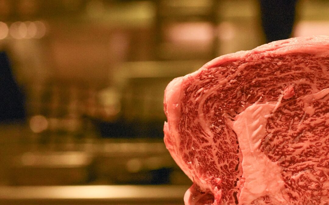 Photo biotech beef protein