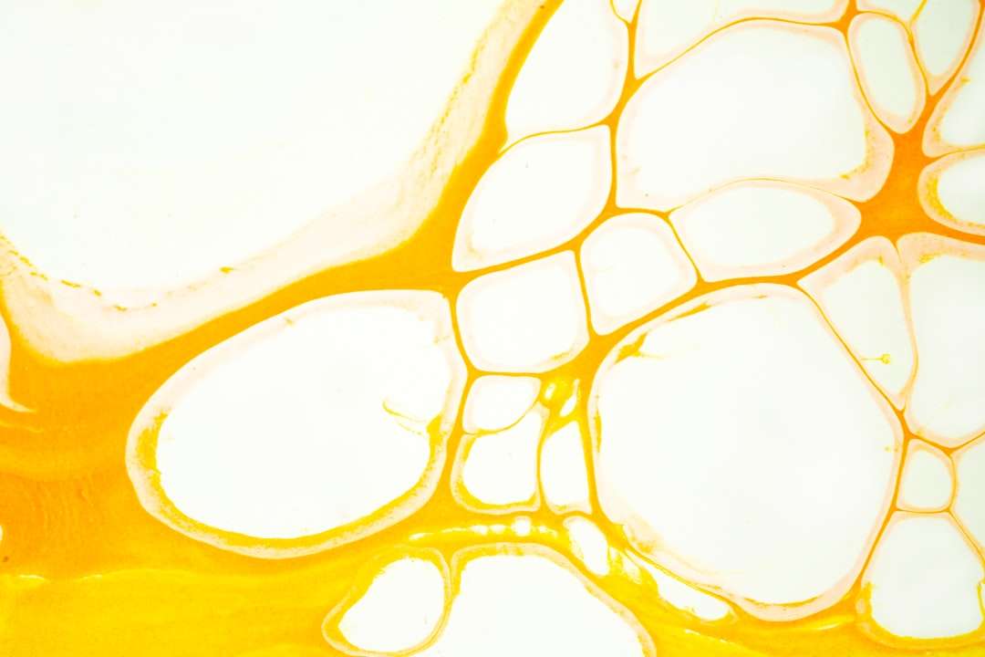 Photo homoktövis oil