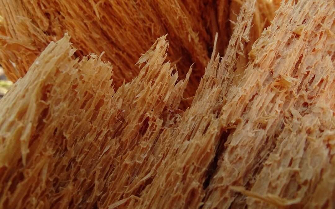 Photo fiber intake