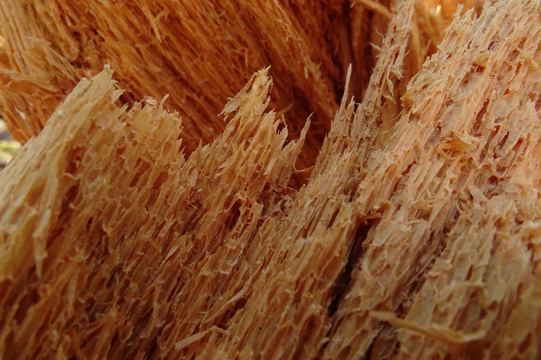Photo fiber intake