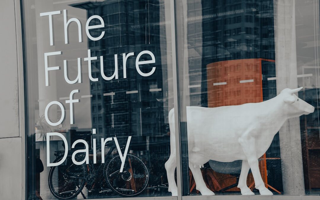Photo live culture dairy products