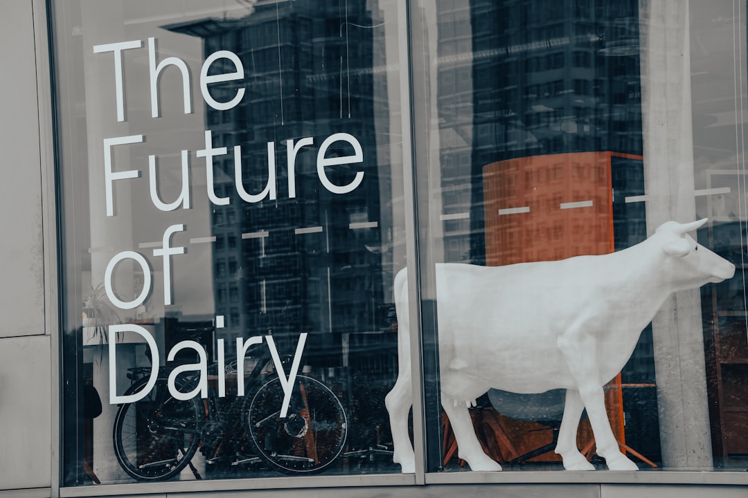 Photo live culture dairy products