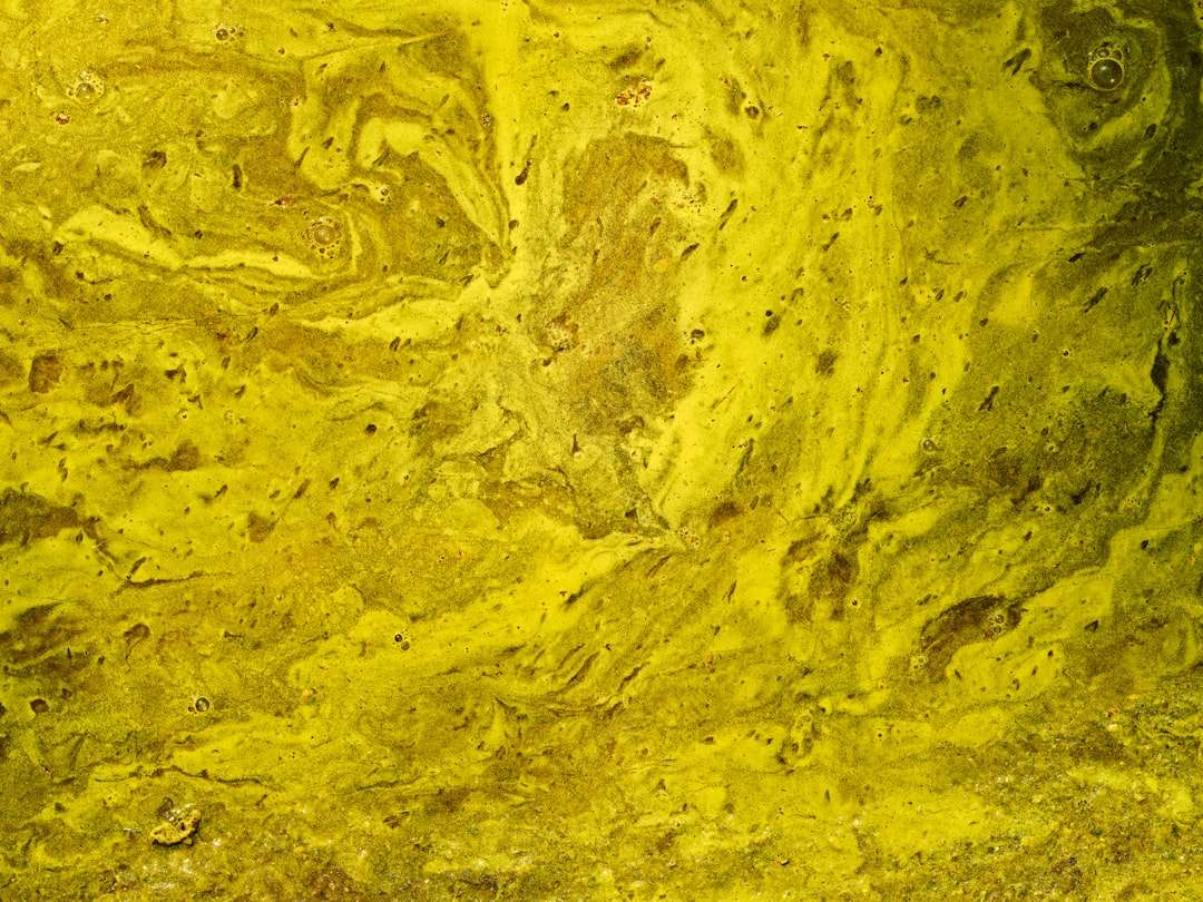 Photo homokt&ouml;vis oil