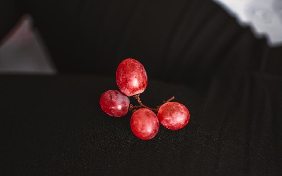 Photo homoktövis berry