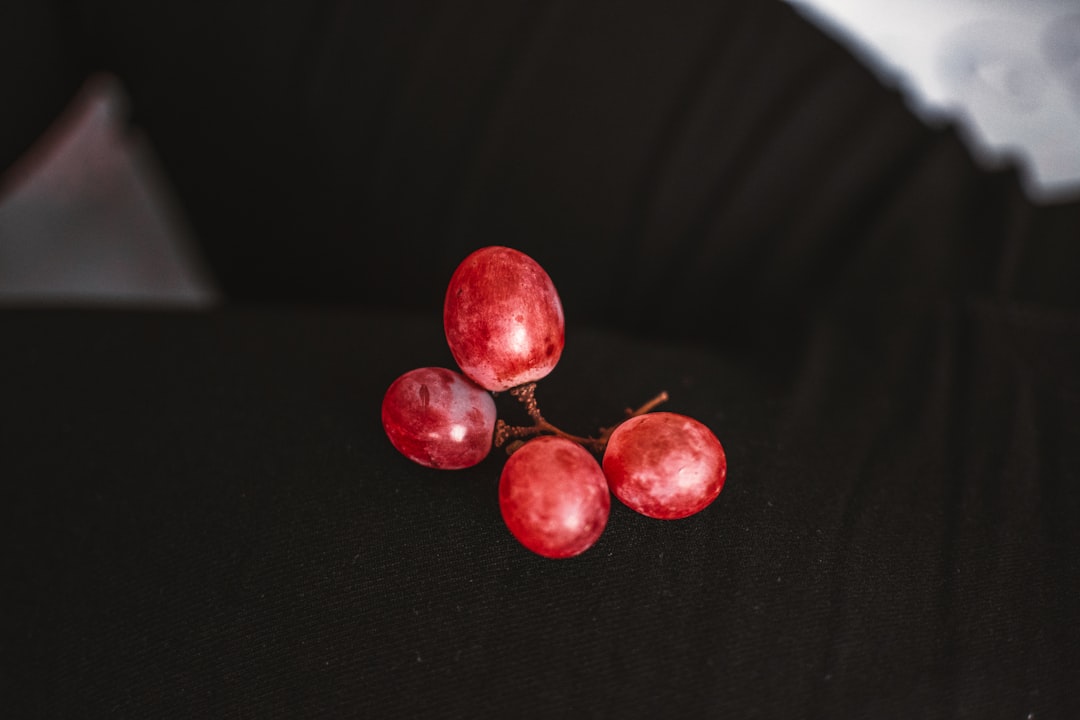 Photo homokt&ouml;vis berry