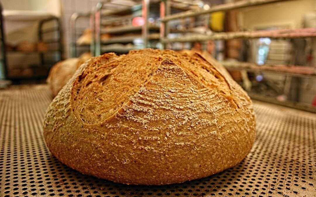 Photo 100% whole grain bread