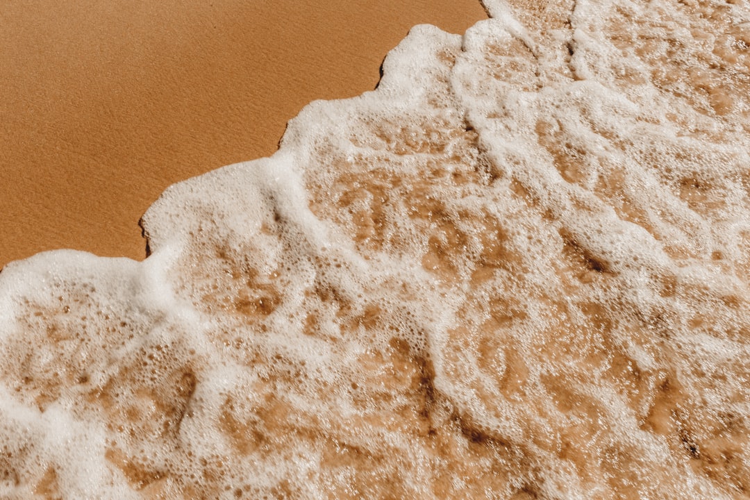 Photo whole grain flour