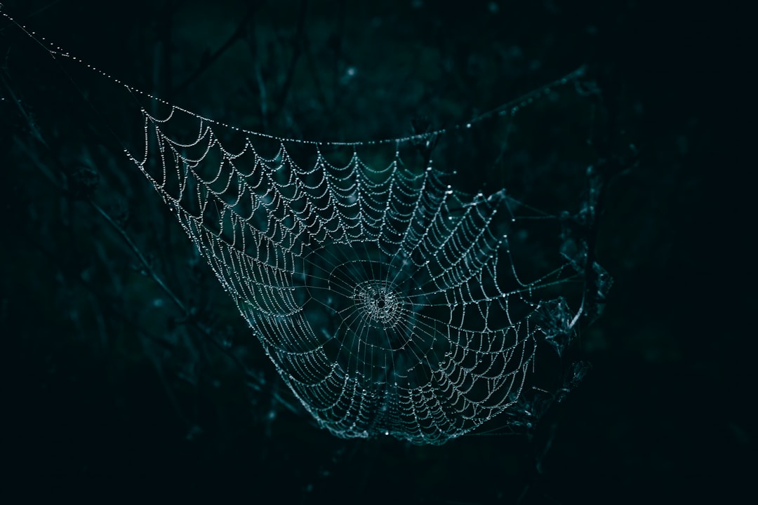 A web BMI kalkulátor használata