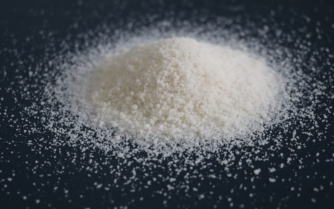 Photo polyphenol-rich foods