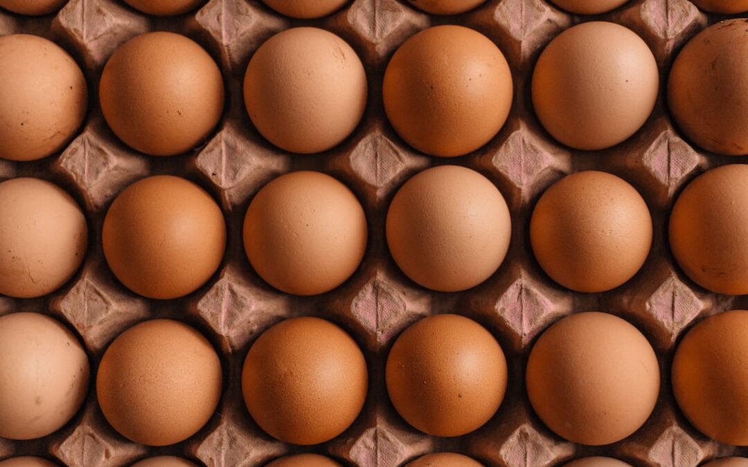 Photo protein