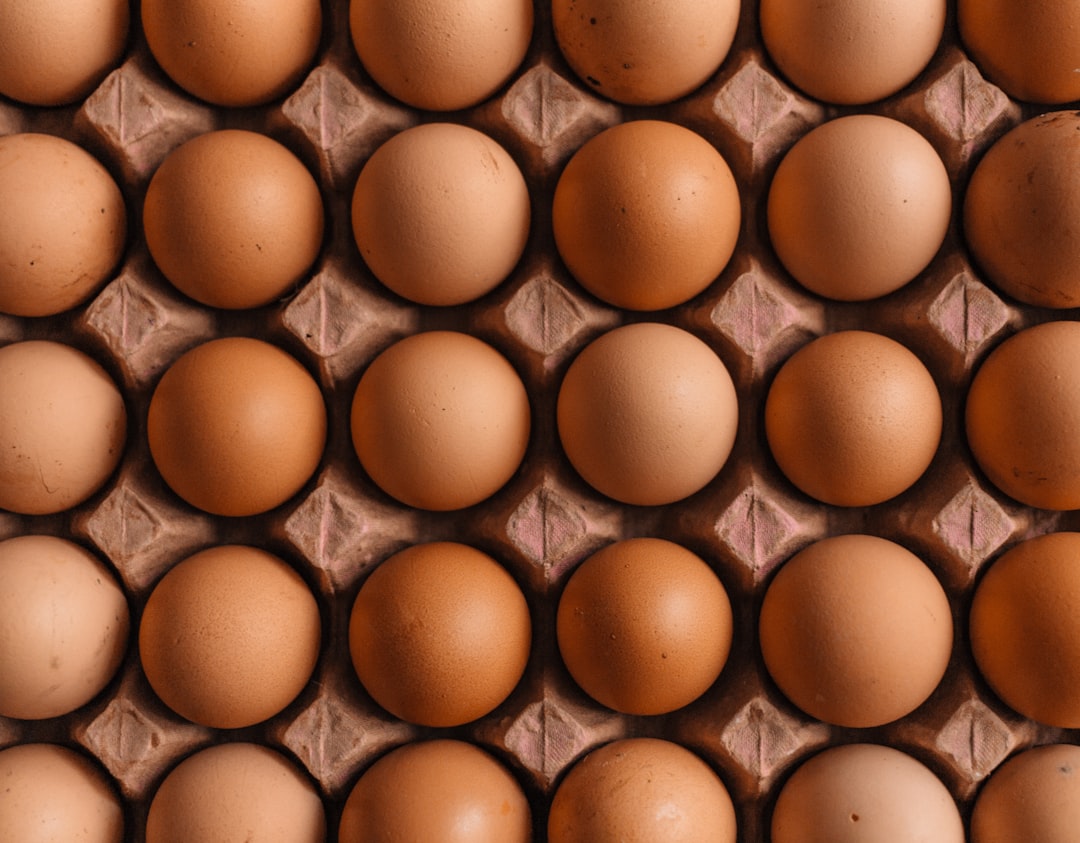 Photo protein