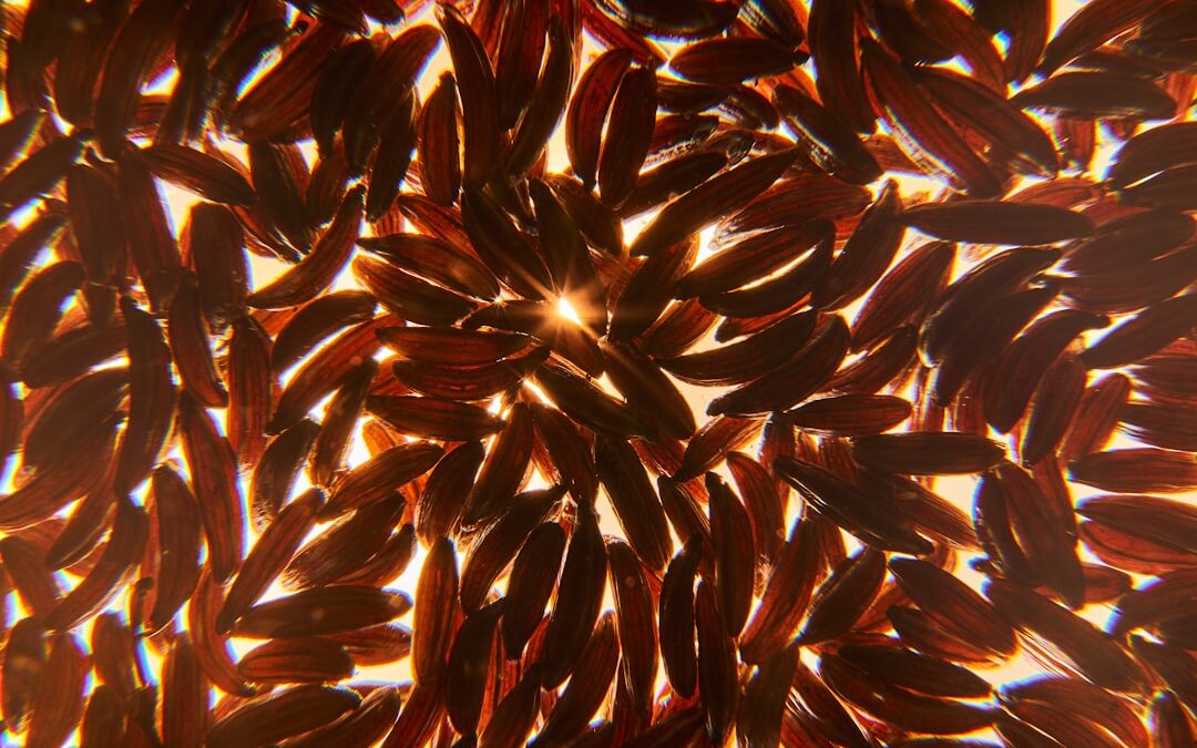 Photo krill oil