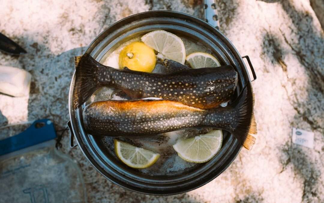 Photo norwegian cod liver oil capsule