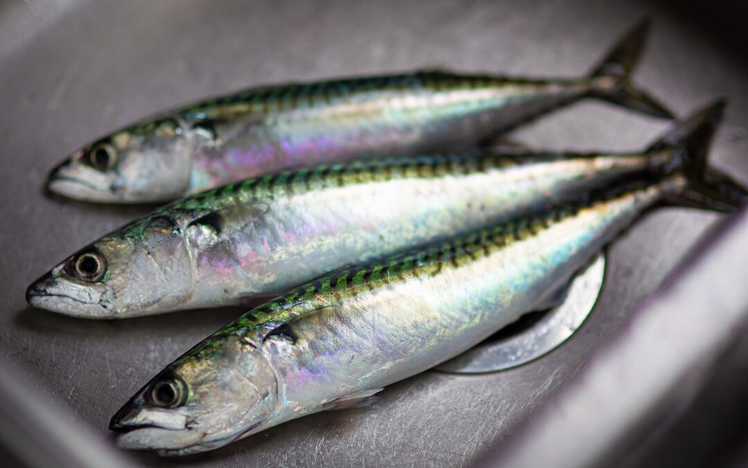 Photo omega 3