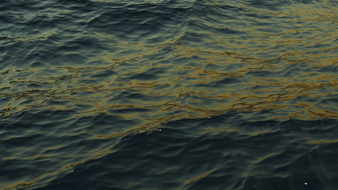 Photo omega 3 halolaj kapszula