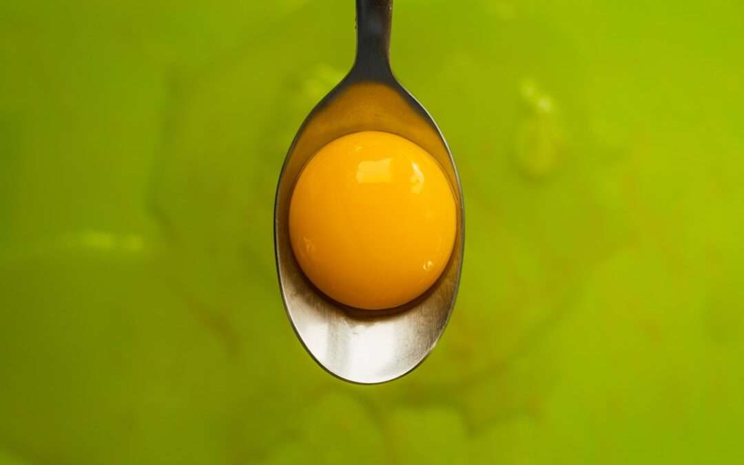 Photo omega 3 zsirsav hatásai