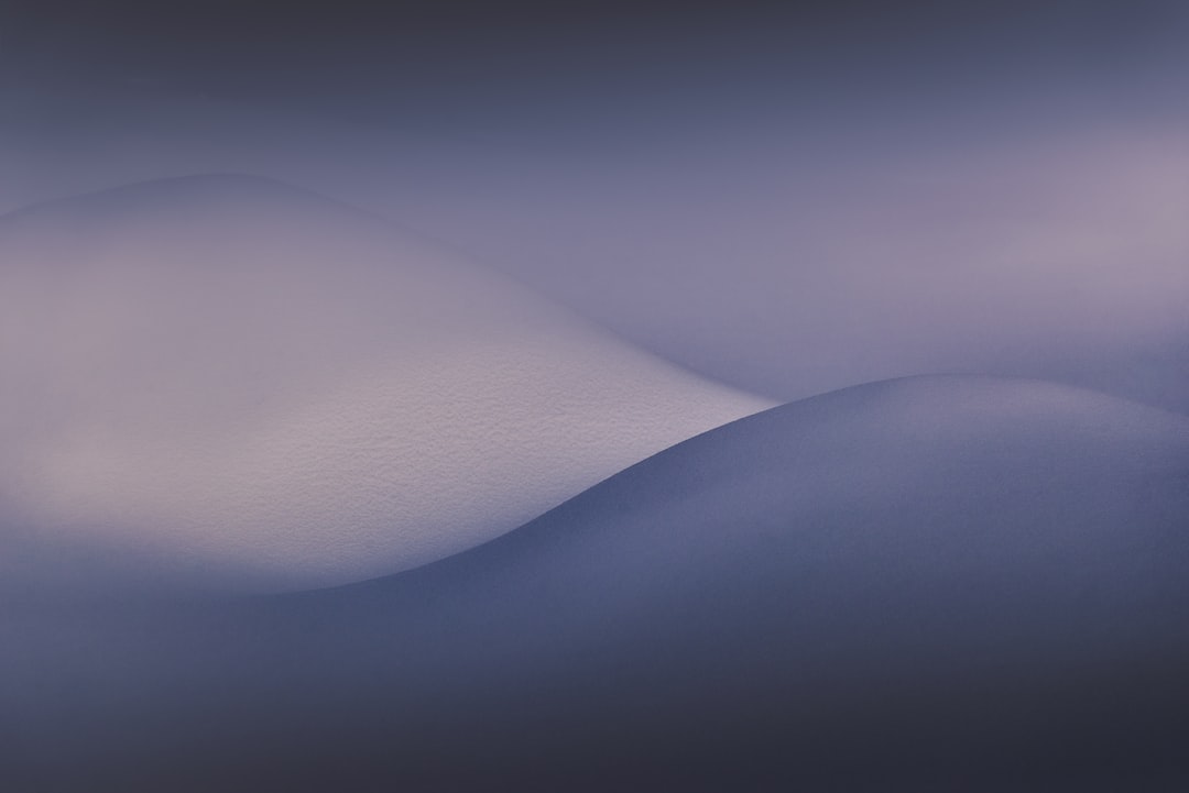 Photo testzsir szazalek