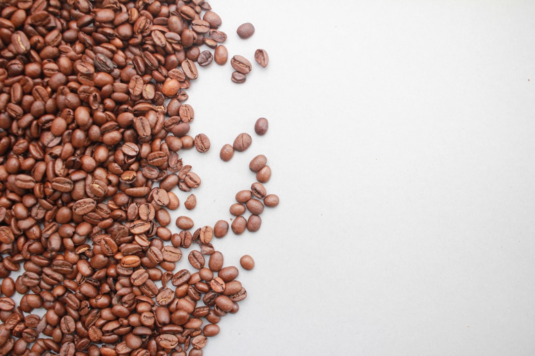 Photo Pregnancy and iron absorption: Effect of C-vitamin, coffee, tea
