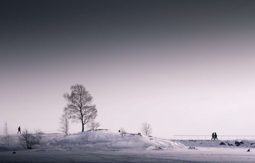 Photo Winter flu