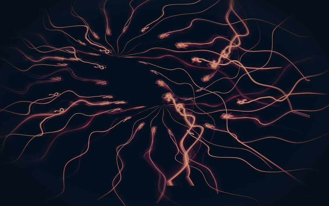 Photo sclerosis multiplex