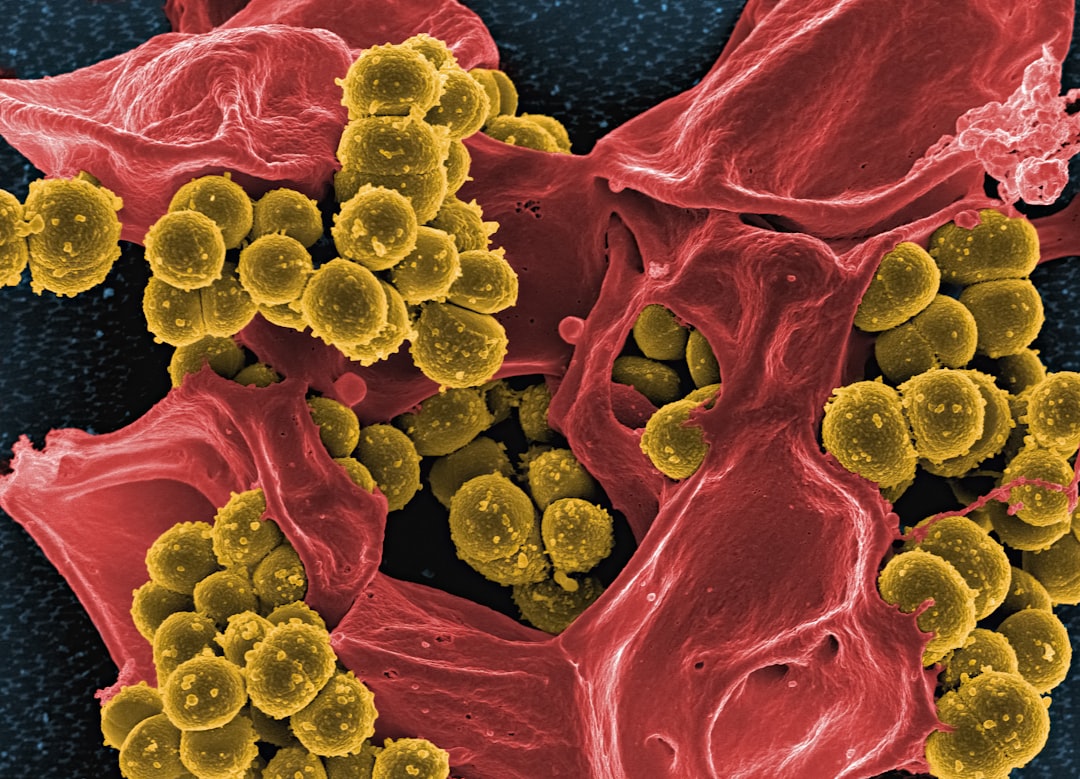 Photo Salmonella/Campylobacter