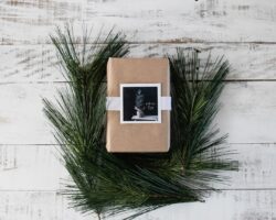 Photo pregnancy journal
