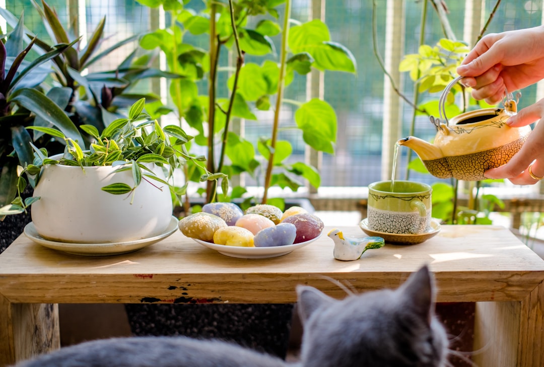 Photo Pregnancy and gardening: soil, cat litter, gloves