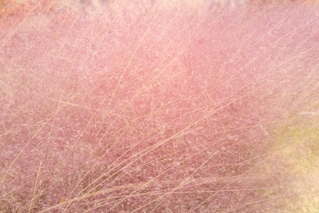 Photo laser hair removal